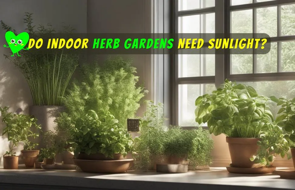 Close-up of potted herbs on a windowsill, including basil, thyme, rosemary, and dill.